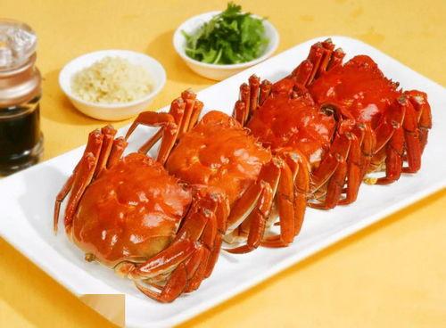 会飞的螃蟹爆料视频大全,揭秘神秘生物的空中舞步 第3张 会飞的螃蟹爆料视频大全,揭秘神秘生物的空中舞步 第3张